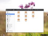 The file manager in Evolve OS