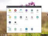 The system settings is the one from GNOME