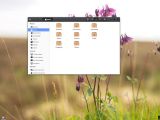 File manager in Evolve OS