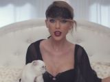 Taylor Swift and her favorite cat, Olivia