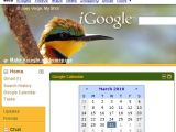 The Kenyan Safari theme in iGoogle