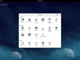 Fedora 21 desktop eoptions