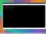 Fedora 22 Beta KDE: Terminal window