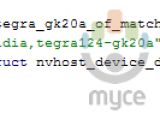 Android code mentioning Tegra 124