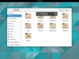 Nautilus (Files), the file manager