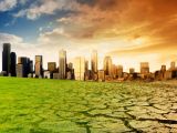 Climate change and global warming are progressing at a rapid pace