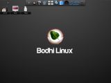 Bodhi Linux dock
