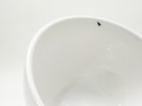 One daring ant trying to drink from your coffee
