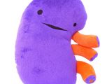 A kidney plush