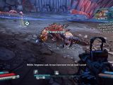 Books are the main course for much of Borderlands' wildlife