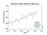 Global CO2 trends