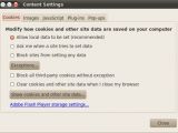 The new privacy options menu in Google Chrome 5.0.342.7 Beta for Linux