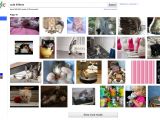 There is an end to the 'infinite' scroll in the new Google Image Search, as exemplified by cute kittens