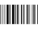 Google's barcode doodle