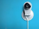Dropcam will keep an eye on the rascals in your home