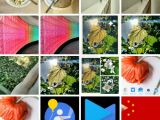 Google’s Photo app, My photography