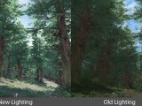 Lighting in the forest in H1Z1