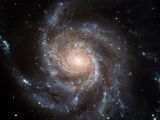 The Pinwheel galaxy
