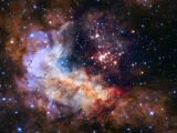 The Westerlund 2 star cluster