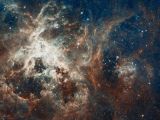 Another star-forming region