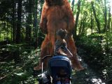 A bear also tries to take a bite out of the kid