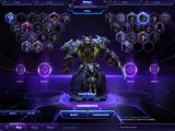 Heroes of the Storm choices