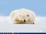 Changing Windows 10 desktop icons