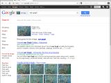 Google's image analysis search works very well with Opera