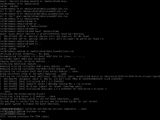 SteamOS command-line shell prompt