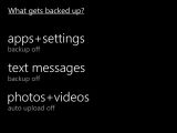 Backup options in Windows Phone