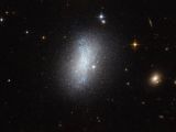 Hubble view of dwarf galaxy PGC 18431