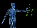 The immune system serves to protect the body