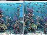 Google Chrome 7 and Internet Explorer 9 perform the same in Microsoft's Fishie test