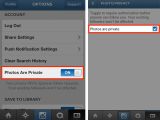 Privacy settings in the mobile app
