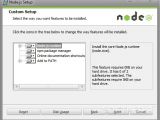 Customizations to various Node.js features can be made during the installation
