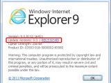 IE 9.0.1