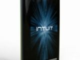 Intuit phone concept