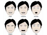 The six basic human emotions show in a chart