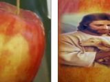 Apple's skin said to show the image of Jesus holding a lamb