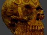 3D scanned skull