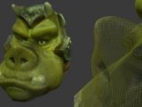 Orc face scan