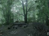 Strolling through the forest in Kingdom Come: Deliverance