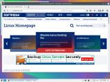 The Mozilla Firefox web browser