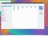 Kubuntu 15.04 with file manager