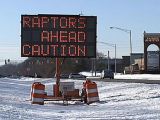 Beware of raptors