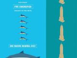 Infographic documents how gillnets affect marine wildlife