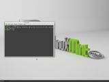 Linux Mint 13 RC with Cinnamon