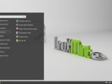 Linux Mint 16 "Petra" Cinnamon RC
