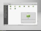 Linux Mint 17 file manager
