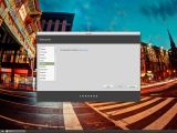 Linux Mint 17.2 RC Cinnamon installer